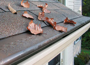Rain gutter filled with leaves